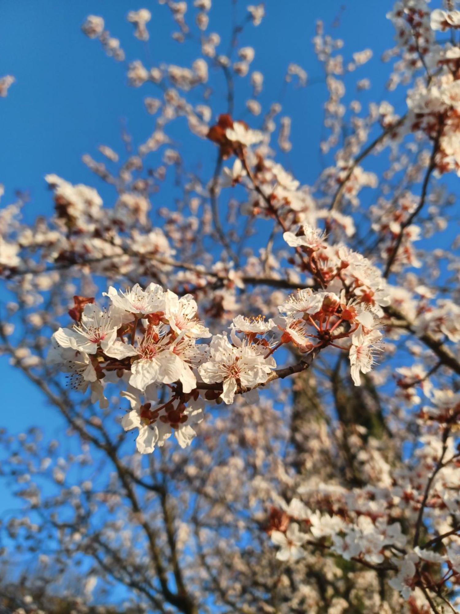 Le Gite Tilia Sablet Bagian luar foto